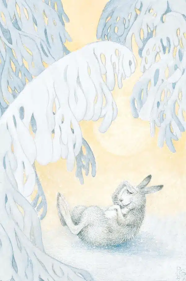 Von Fuchs, Wolf und Bär… Tiermärchen aus dem hohen Norden Buch Geschichten