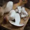 steinpilze rezept gewürze salz steinpilzsalz getrocknet