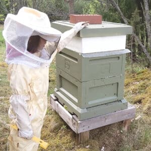 Honig Finnland finnischer honig Natur Bienen Bienenhonig Naturhonig
